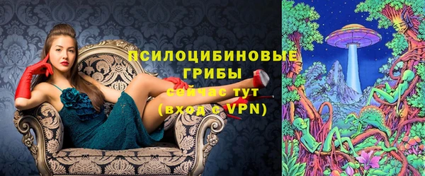 ПСИЛОЦИБИНОВЫЕ ГРИБЫ Краснотурьинск