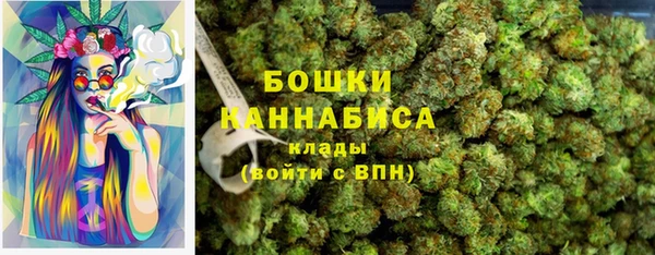 ПСИЛОЦИБИНОВЫЕ ГРИБЫ Краснотурьинск