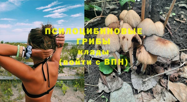 ПСИЛОЦИБИНОВЫЕ ГРИБЫ Краснотурьинск