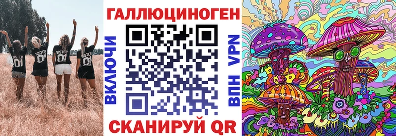 Галлюциногенные грибы Psilocybine cubensis  Кочубеевское 
